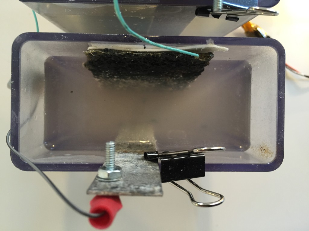 The Magnesium and Carbon electrodes in salt water